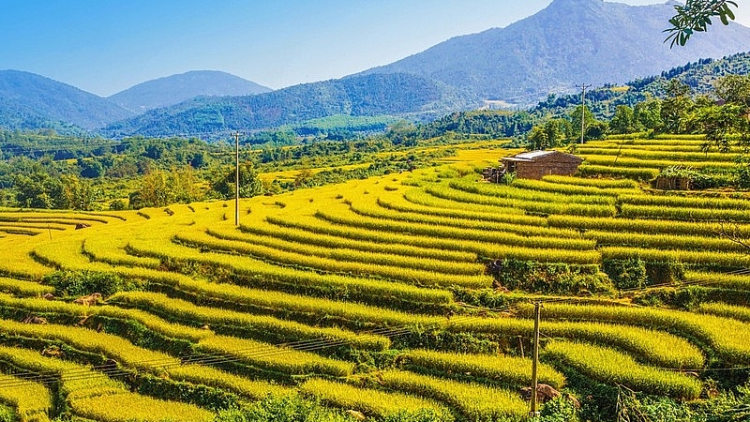 SLOONG DƯỞNG MẤƯ MỪA BHYT PỈ NOỌNG CẨN CHẮC