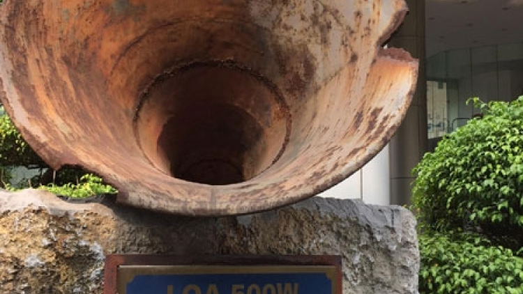 76 PI- "CẰM PHUỐI VIỆT NAM" ĐẢY BÊN SLUNG BÊN QUÂY