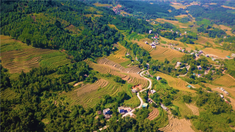 THÂNG BÚNG 5 MÒN KHỎ TẢI ẾT DÚ QUẢNG NINH