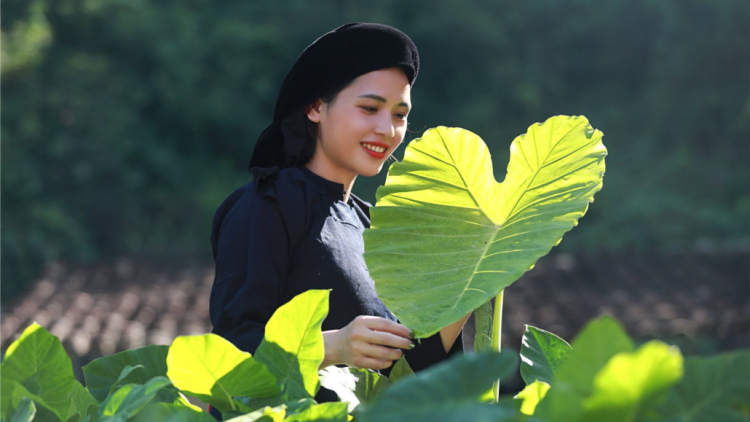 CHƯƠNG TRÌNH KHAY HENG TIỂNG TÀY - NÙNG (Vằn 17/9/2021)