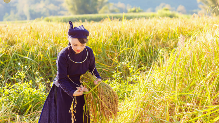 CHƯƠNG TRÌNH KHAY HENG TIỂNG TÀY - NÙNG  (Vằn 13 bươn 11 pi 2021)