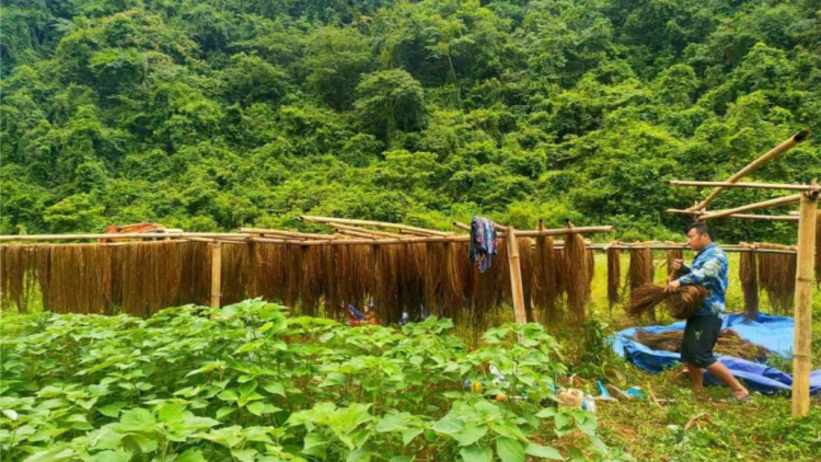 CO PÁN AP1- TÀNG DƯỞNG HẾT KIN MẤƯ HẨƯ PỈ NOỌNG DÚ BÚNG PIÊN CHÁI CAO BẰNG