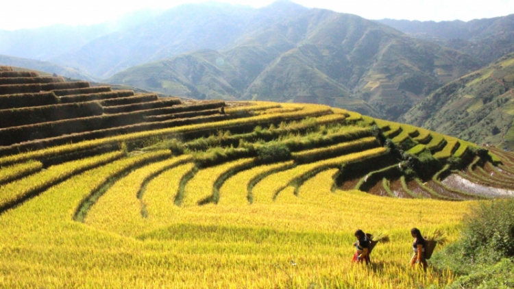 Then cổ: CO KHẨU VẰN NẨY