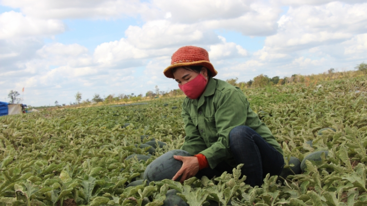 MẢU MÁC QUA LƯỜNG CHĂN KHỎ NHỦNG DÚ BÚNG ĐIN PIÊN CHÁI