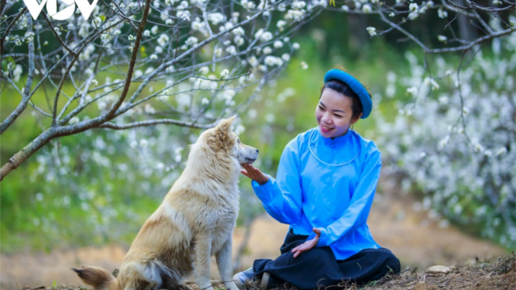 CHƯƠNG TRÌNH KHAY HENG TIỂNG TÀY-NÙNG (Thứ 4, vằn 2/2/2022) XO 2 NÈN CHIÊNG NHÂM DẦN