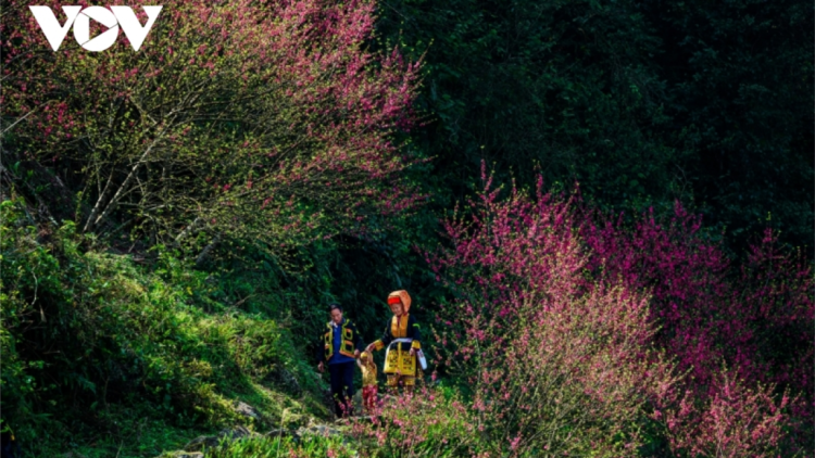 CHƯƠNG TRÌNH KHAY HENG TIỂNG TÀY NÙNG (Chủ Nhật – Vằn 27/2/2022)