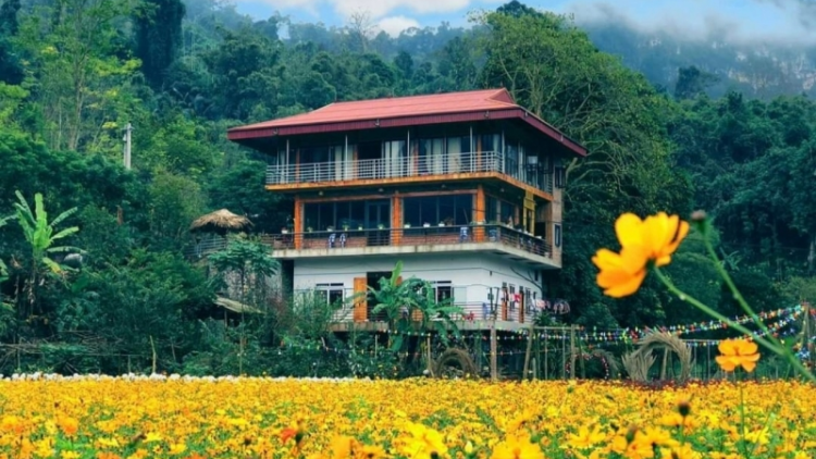 CHƯƠNG TRÌNH KHAY HENG TIỂNG TÀY - NÙNG (Thứ Hai, Vằn 14/3/2022)