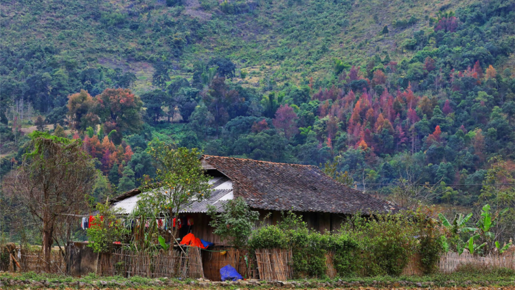 CHƯƠNG TRÌNH KHAY HENG TIỂNG TÀY-NÙNG (Thứ Bảy- Vằn 08/10/2022)