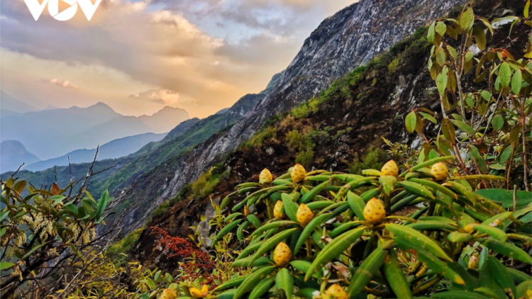 CHƯƠNG TRÌNH KHAY HENG TIỂNG TÀY – NÙNG (Thứ Hai- Vằn 16/5/2022)