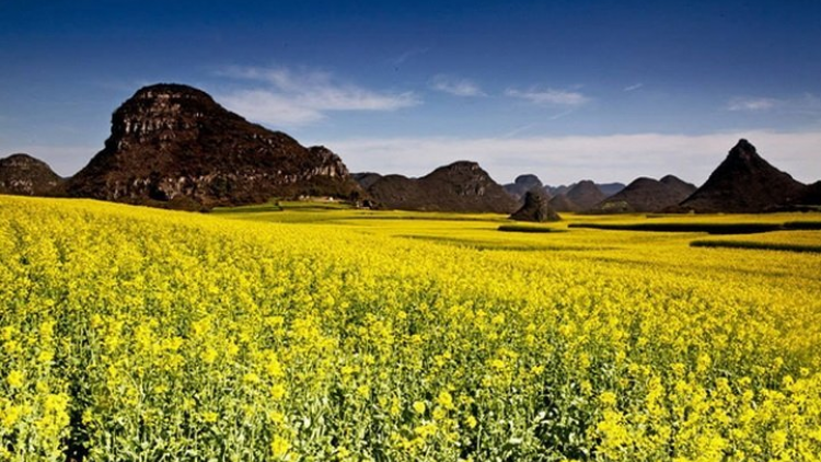 CHƯƠNG TRÌNH KHAY HENG TIỂNG TÀY-NÙNG (Thứ Bảy- Vằn 18/6/2022)