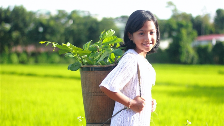 CHƯƠNG TRÌNH KHAY HENG TIỂNG TÀY-NÙNG (Thứ Bảy- Vằn 30/7/2022)