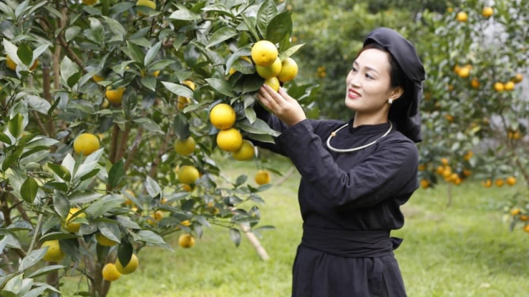 CHƯƠNG TRÌNH KHAY HENG TIỂNG TÀY NÙNG (Thứ 7, vằn 24/9/2022)