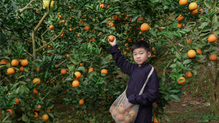 CHƯƠNG TRÌNH KHAY HENG TIỂNG TÀY, NÙNG (Chủ Nhật vằn xo 9 bươn 10 pi 2022)