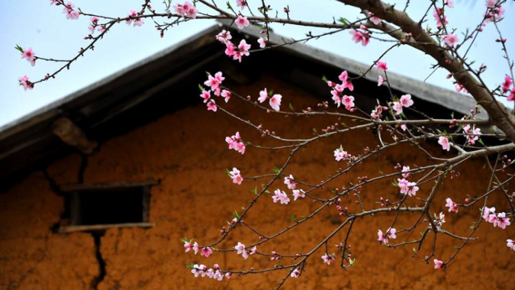 CHƯƠNG TRÌNH KHAY HENG TIỂNG TÀY-NÙNG (Vằn 19 bươn 2 pi 2022)