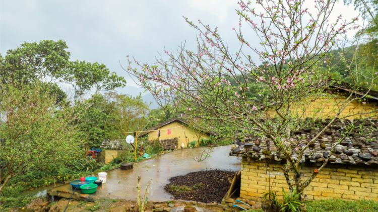 CHƯƠNG TRÌNH KHAY HENG TIỂNG TÀY - NÙNG- Thứ 7, Vằn xo 5 bươn 2 pi 2022 (XO 5 BƯƠN CHIÊNG)