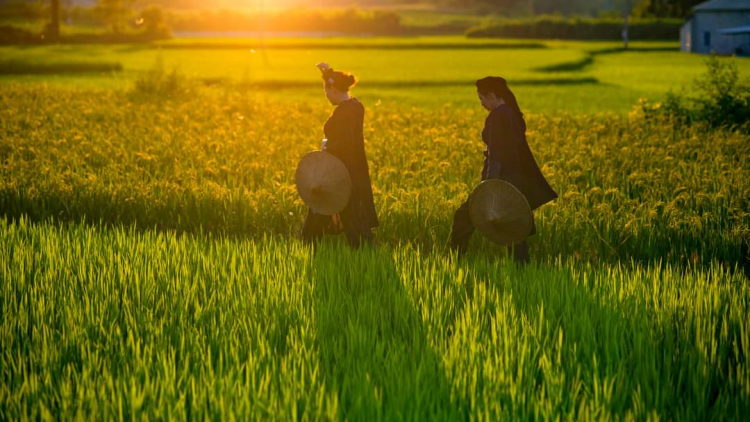 CHƯƠNG TRÌNH KHAY HENG TIỂNG TÀY - NÙNG (Thứ Hai – Vằn 19 bươn 9 pi 2022)