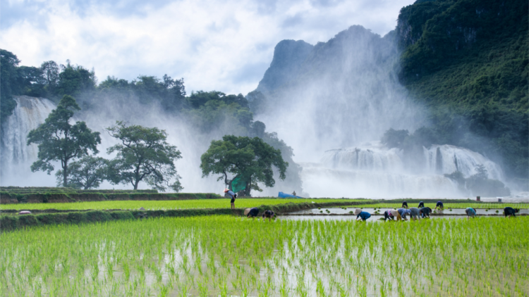 CHƯƠNG TRÌNH KHAY HENG TIỂNG TÀY - NÙNG  (Thứ Sáu- Vằn xo 6 bươn 5 pi 2022)