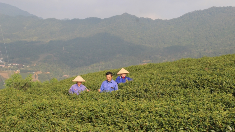 TÀNG HẾT KIN MẤƯ TỀNH CHÓN PHJA OẮC-PHJA ĐÉN