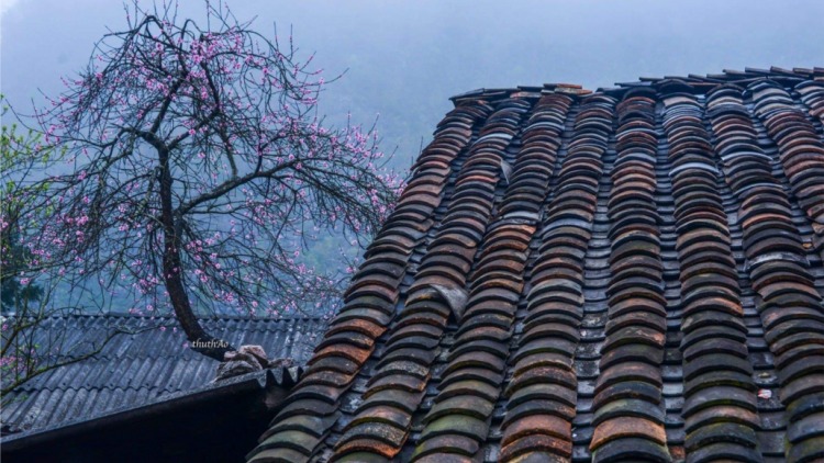 NGHỆ NHÂN NGUYỄN CÔNG HOAN