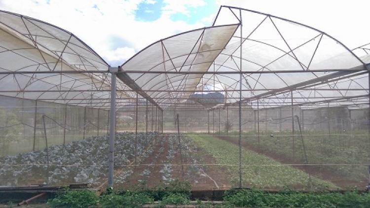 ꪹꪊꪉ ꪊꪉꪲ ꪠꪱꪒ ꪵꪖꪉ ꪁꪫꪱꪣ ꪼꪕ ꪖꪳ 3  ꪣꪳ  18 ꪁꪣꪾ ꪹꪚꪙ 7 ꪜꪲ 2017