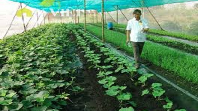 ꪁꪫꪱꪣ ꪄꪱꪫ ꪶꪠꪉ ꪼꪔ ꪚꪀꪰ ꪖꪳ 5 ꪣꪳ 21 ꪁꪣꪾ ꪹꪚꪙ 12 ꪜꪲ 2017