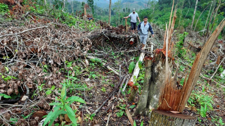 ꪁꪱꪫꪣ ꪄꪱꪫ ꪶꪠꪉ ꪼꪕ ꪚꪀꪰ ꪖꪳꪳ 3 ꪣꪳ 18 ꪁꪣꪾ  ꪹꪚꪙ 4 ꪜꪲ 2017