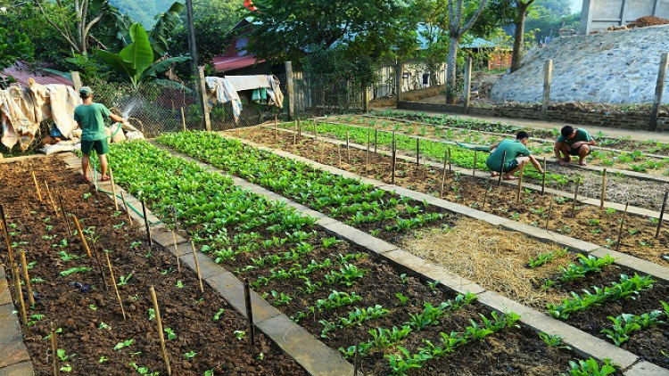 ꪁꪫꪱꪣ ꪄꪱꪫ ꪶꪠꪉ ꪼꪔ ꪚꪀꪰ ꪖ ꪳ5  ꪣꪳ  22 ꪁꪾ ꪹꪚꪙ 3 ꪜꪲ 2018