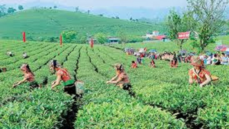 ꪁꪫꪱꪣ ꪄꪱꪫ ꪶꪠꪉ ꪼꪔ ꪚꪀꪰ ꪖ ꪳ5 ꪣꪳ 19 ꪁꪾ ꪹꪚꪙ 4 ꪜꪲ 2018