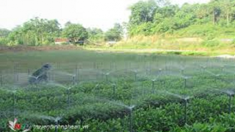 ꪁꪫꪱꪣ ꪄꪱꪫ ꪶꪠꪉ ꪼꪔ ꪚꪀꪰ ꪖ ꪳ6 ꪣꪳ 11 ꪁꪾ ꪹꪚꪙ 5 ꪜꪲ 2018