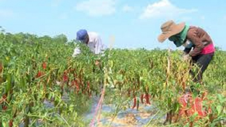 ꪹꪊꪉ ꪊꪉꪲ ꪠꪱꪒ ꪵꪖꪉ ꪁꪫꪱꪣ ꪼꪕ ꪖ ꪳ3 ꪣꪳ 19 ꪁꪾ  ꪹꪚꪙ 6 ꪜꪲ 2018