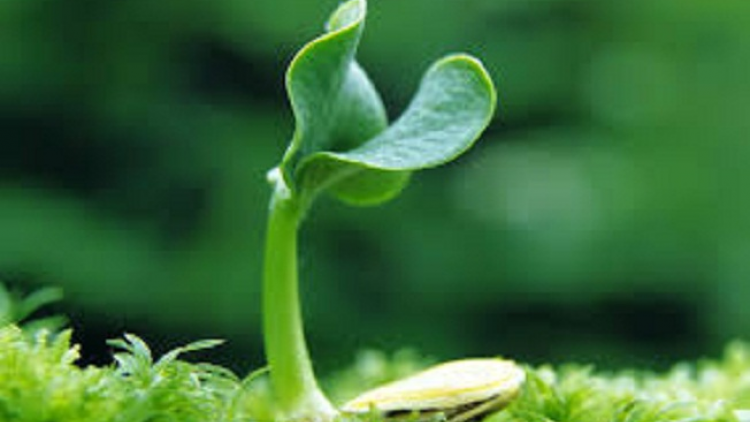 ꪉꪮꪙ ꪶꪕ ꪖꪳ 5 ꪣꪳ  6 ꪁꪾ ꪹꪚꪙ 12 ꪜꪲ 2018 - ꫛ ꪉꪮꪥ ꪵꪁꪫ ꪚꪮꪒ ꪡꪱꪉ ꪭꪒꪳ ꪀꪙꪳ ꫃ꪥꪒ ꪭꪉꪰ