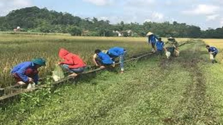 ꪁꪫꪱꪣ ꪄꪱꪫ ꪶꪠꪉ ꪼꪔ ꪚꪀꪰ ꪖꪳ 3 ꪣꪳ 11 ꪁ ꪾ ꪹꪚꪙ 9 ꪜꪲ 2018