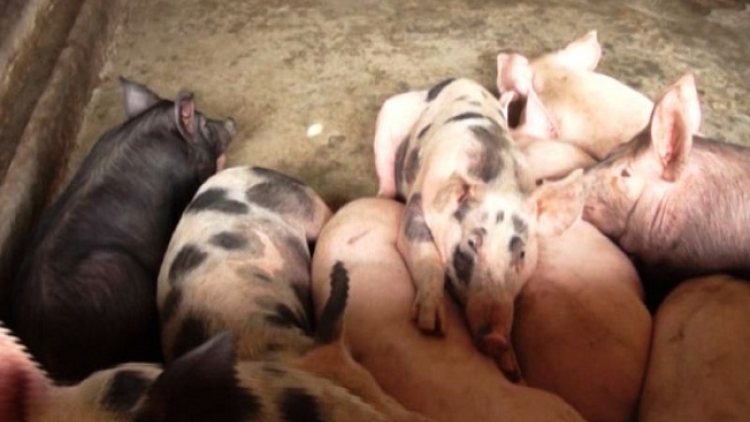 ꪉꪮꪙ ꪁꪫꪱꪣ ꪄꪱꪫ ꪖꪳ 6 ꪣꪳ 9 ꪁ ꪾꪹꪚꪙ 11 ꪜꪲ 2018