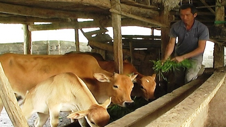 ꪉꪮꪙ ꪶꪕ ꪖꪳ 6ꪣꪳ 19ꪁꪾ ꪹꪚꪙ 10 ꪜꪲ 2018 - ꪩꪺꪒ ꪕꪉꪸ ꪮꪱꪙ ꪁꪾ ꪀꪙꪲ