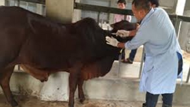 ꪉꪮꪙ ꪶꪕ ꪖꪳ 6 ꪣꪳ 9 ꪁꪾ  ꪹꪚꪙ 11 ꪜꪲ 2018 – ꪝꪉꪳ ꪕꪒꪰ ꪜꪙꪴ ꪢꪱ ꪕꪱꪉ ꪩꪺꪒ ꪕꪉꪸ ꪮꪱꪙ ꪁꪣꪾ ꪀꪙꪲ