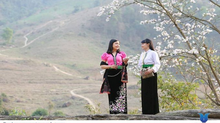 ꪁꪫꪱꪣ ꪄꪱꪫ ꪶꪠꪉ ꪼꪔ ꪚꪀꪰ ꪖꪳ 5 ꪣꪳ 07 ꪁ ꪾꪹꪚꪙ 3 ꪜꪲ 2019