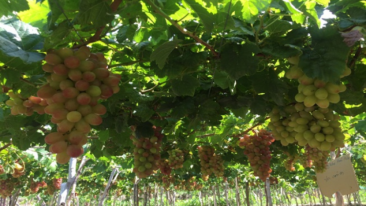 ꪁꪫꪱꪣ ꪄꪱꪫ ꪶꪠꪉ ꪼꪔ ꪚꪀꪰ ꪖꪳ 6 ꪣꪳ 17 ꪁ ꪾꪹꪚꪙ 5 ꪜꪲ 2019