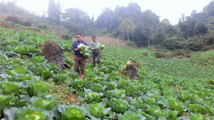 ꪉꪮꪙ ꪶꪕ ꪖꪳ 3 ꪣꪳ  28 ꪁꪾ ꪹꪚꪙ 5 ꪜꪲ 2019 – ꪀꪫꪉꪸ  ꪑꪱꪥ ꪎꪴ ꪶꪀꪉ ꫃ꪉ ꪎꪉꪴ ꪻꪎ ꪫꪀ ꪸ ꫃ꪥꪒ ꪹꪥꪙ ꪜꪀꪴ ꪶꪚꪉ