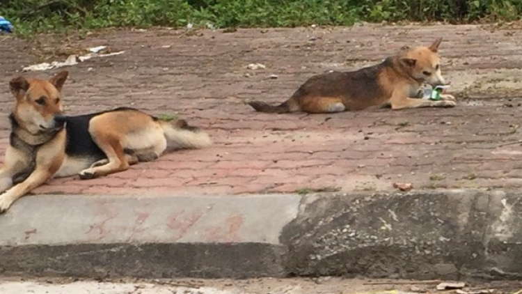 ꪉꪮꪙ ꪶꪕ ꪖꪳ 4 ꪣꪳ 19 ꪁꪾ ꪹꪚꪙ 6 ꪜꪲ 2019 – ꪔꪣꪸ ꪡꪮꪉ ꪹꪛꪸꪉ ꪹꪜꪸꪙ ꪚꪱ