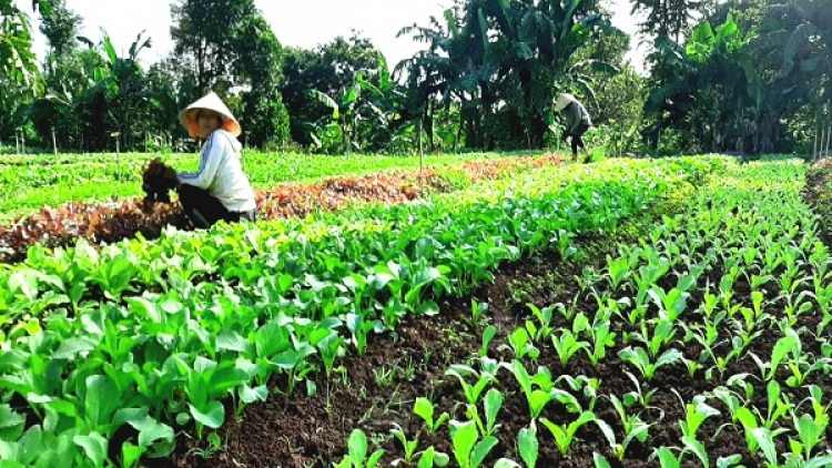 ꪁꪫꪱꪣ ꪄꪱꪫ ꪶꪠꪉ ꪼꪔ ꪚꪀꪰ ꪖꪳ 3 ꪣꪳ 21 ꪁꪾ  ꪹꪚꪙ 7 ꪜꪲ 2020