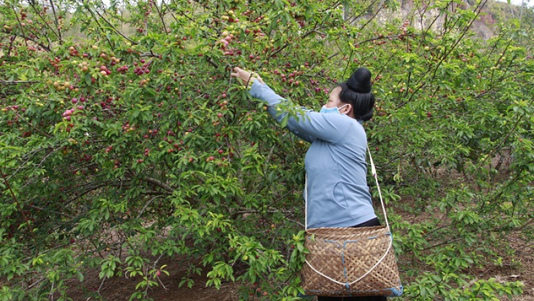 ꪉꪮꪙ ꪶꪕ ꪖꪳ 3 ꪣꪳ  16 ꪹꪚꪙ 6 ꪜꪲ 2020 – ꪹꪮꪥ ꪵꪠꪉ ꪋꪱꪉ ꫃ꪥꪒ ꪀꪉꪲ ꫃ꪔ ꪘꪉꪰ ꪶꪎꪚ ꪶꪁꪚꪶ ꪔꪉꪲ ꫄ꪎꪙ ꪨꪱ