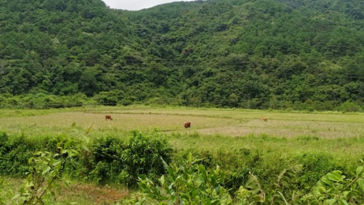 ꪹꪊꪉ ꪊꪉꪲ ꪠꪱꪒ ꪵꪖꪉ ꪁꪫꪱꪣ ꪼꪕ  ꪖꪳ 5 ꪣꪳ  26 ꪁ ꪾ ꪹꪚꪙ 11 ꪜꪲ 2020