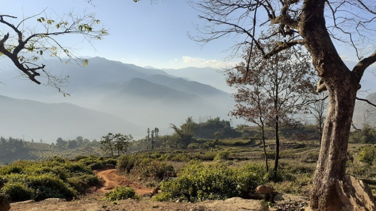 ꪉꪮꪙ ꪶꪕ ꪖꪳ 3 ꪣꪳ  3 ꪁꪾ  ꪹꪚꪙ 3  ꪜꪲ 2020 -  ꪩꪺꪉ ꪩꪉꪸ ꪵꪚ