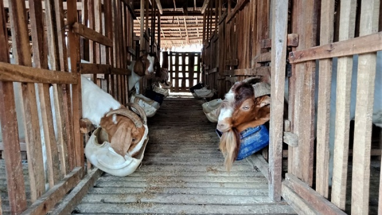 ꪉꪮꪙ ꪶꪕ ꪖꪳ 5 ꪣꪳ  04 ꪹꪚꪙ 6 ꪜꪲ 2020 – ꪩꪉꪴ ꪵꪚ ꫄ꪥꪒ ꪭꪉꪰ ꪵꪔ ꪫꪀꪸ ꪵꪔꪉ ꪩꪉꪸ ꪵꪚ