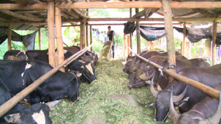 ꪉꪮꪙ ꪶꪕ ꪖꪳ 3 ꪣꪳ  17 ꪁ ꪾ ꪹꪚꪙ 11  ꪜꪲ 2020 - ꪶꪜꪉ ꪻꪊ ꪒꪴ ꪒꪲ ꪭꪮꪒ ꪶꪔ ꪵꪔꪉ ꪩꪉꪸ ꪀꪺꪉ ꪣꪺ ꪘꪱꪫ ꪁꪣꪳ