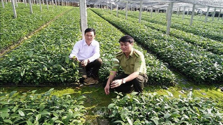 ꪹꪊꪉ ꪊꪉꪲ ꪠꪱꪒ ꪵꪖꪉ ꪁꪫꪱꪣ ꪼꪕ  ꪖꪳ 2  ꪣꪳ  30 ꪁ ꪾ ꪹꪚꪙ 11 ꪜꪲ 2020