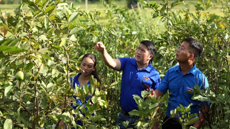 Ngon tô thứ 5 mự 22 căm bườn 4 pì 2021- Thành niền Lài Chầu tánh tăm vịa dệt dượn té luông dệt HTX