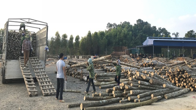 Chương trình phát thanh quam Tay thứ 5 mự 25 căm bườn 3 pì 20213