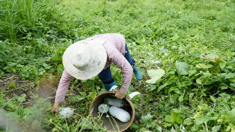 Chương trình phát thanh quam Tay thứ 6 mự 24 căm bườn 9 pì 2021