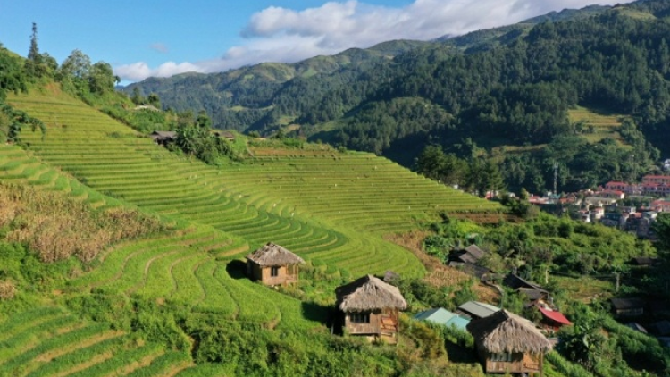 Quam kháo phổng Tày Bắc thứ 6 mự  căm  nưng bườn 4 pì 2022